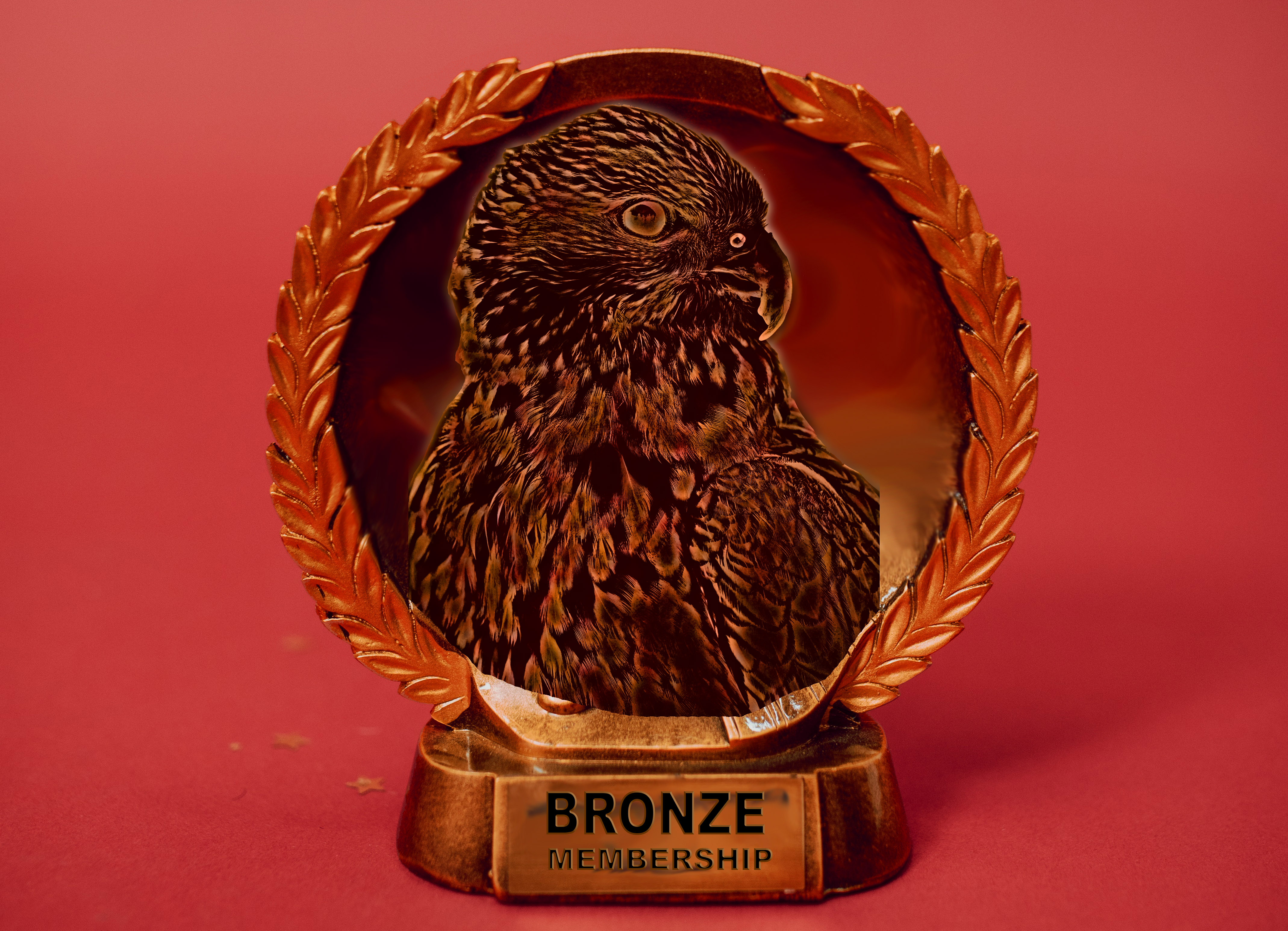 Bronze Membership Image