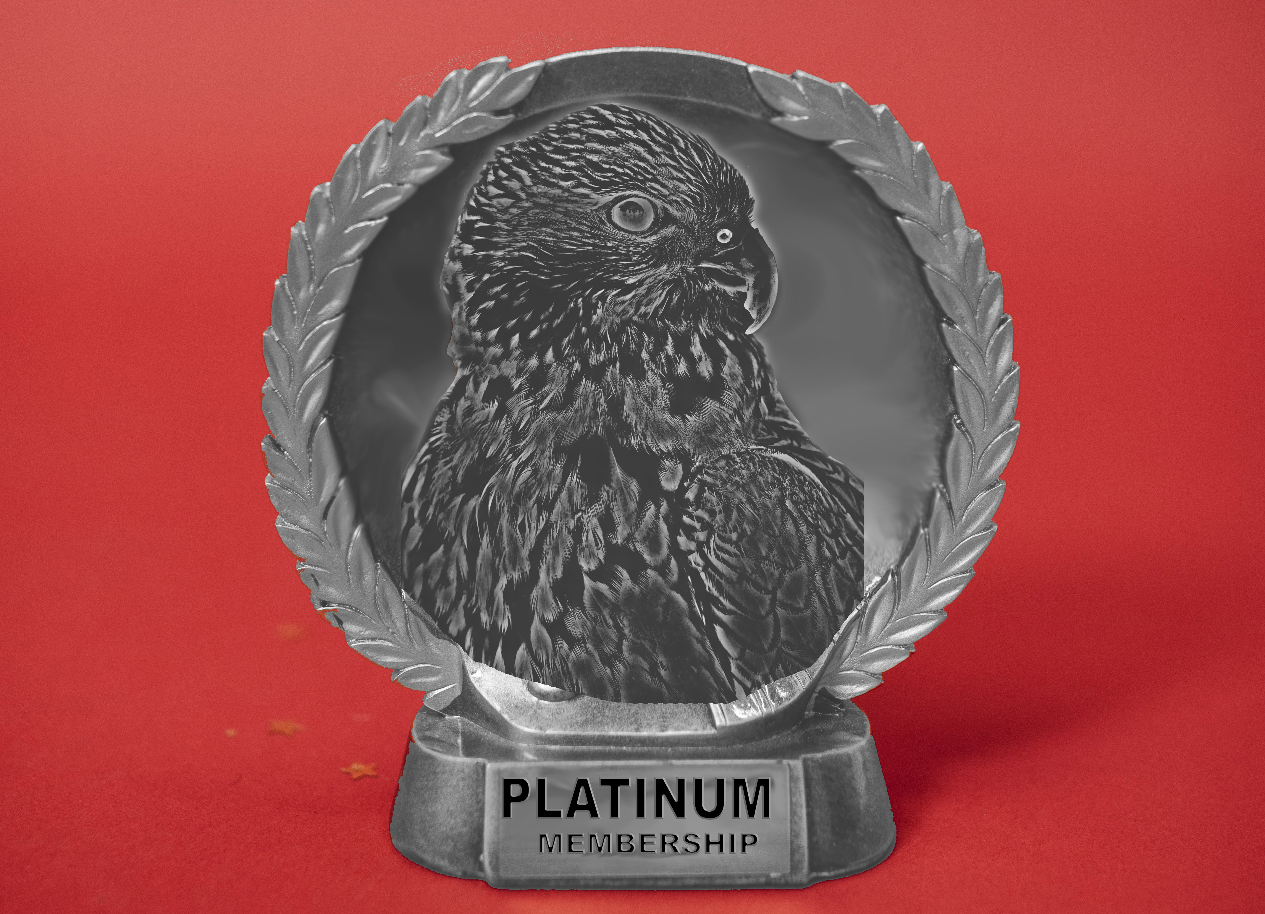 Platinum Membership Image