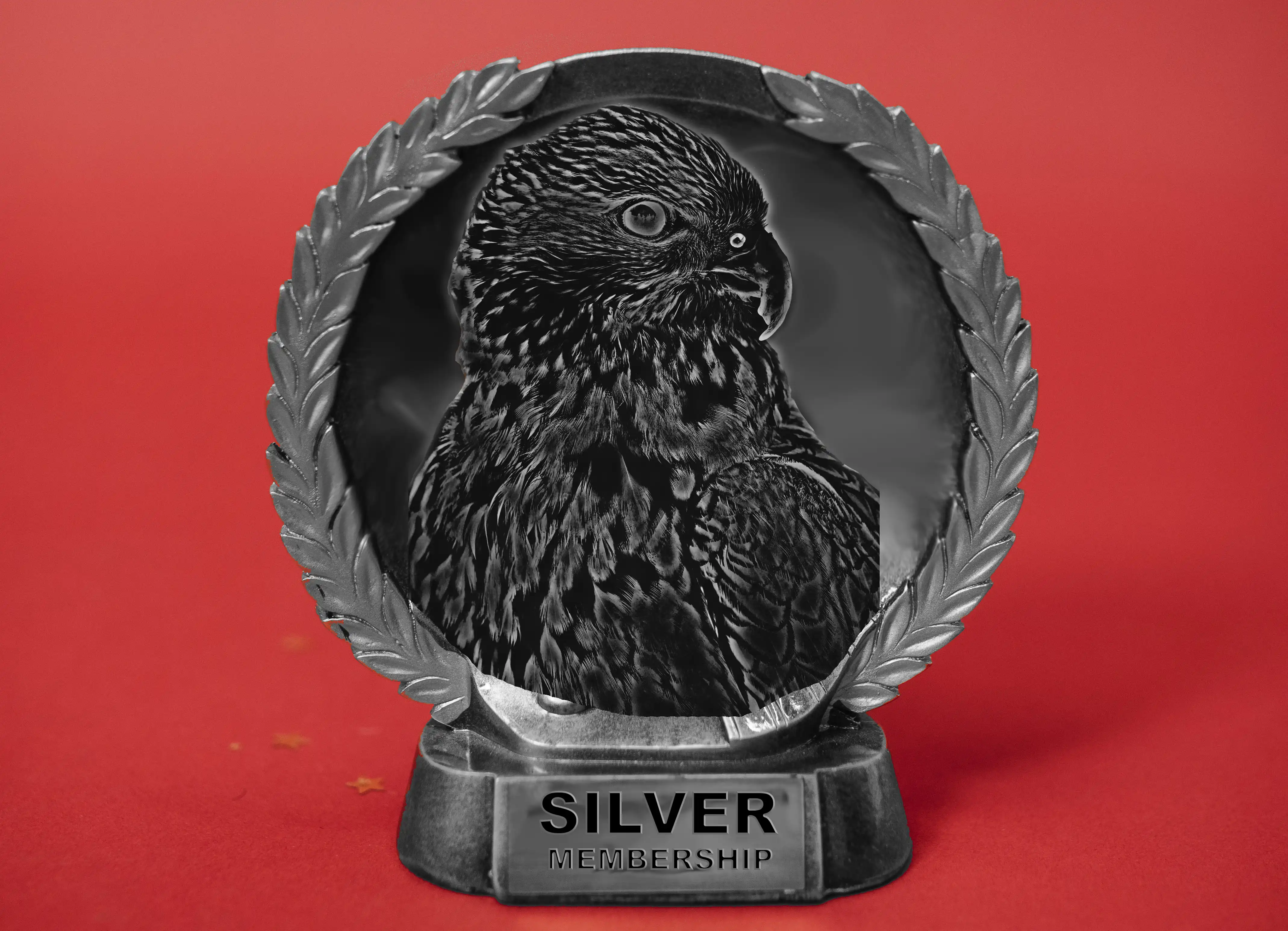 Silver Membership Image